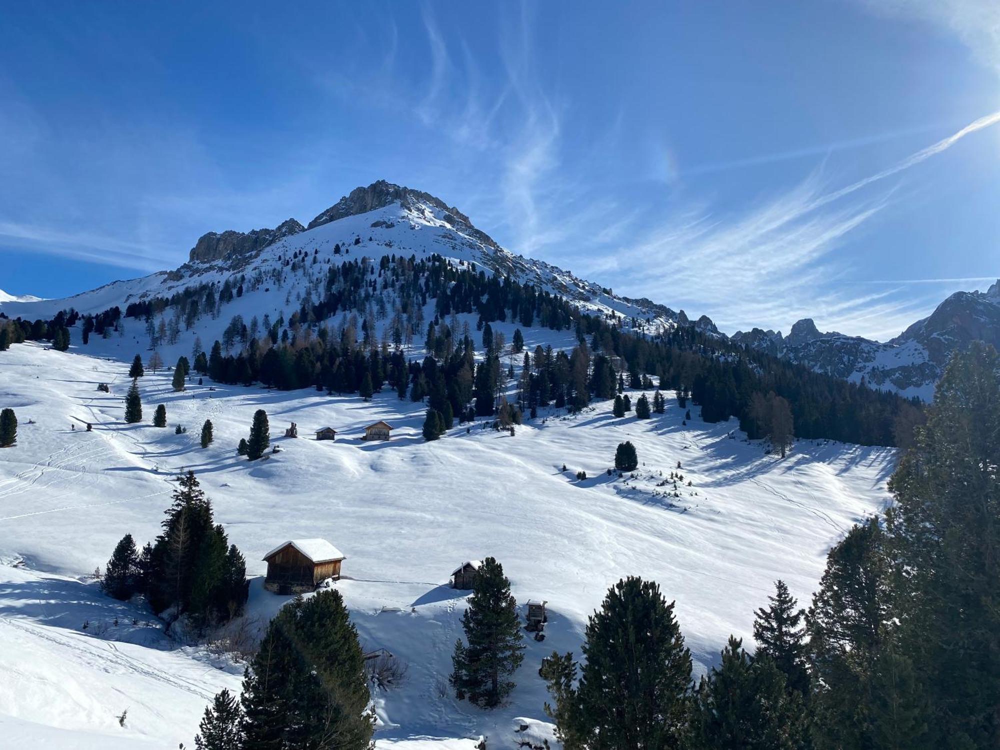 Plose Panorama House Daire Bressanone Dış mekan fotoğraf