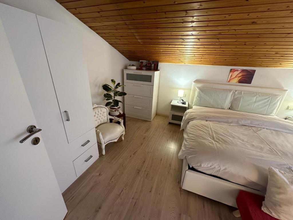 Plose Panorama House Daire Bressanone Dış mekan fotoğraf